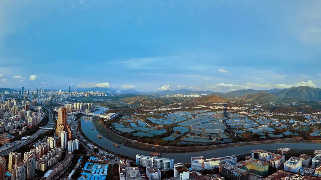 凯旋门开户登录